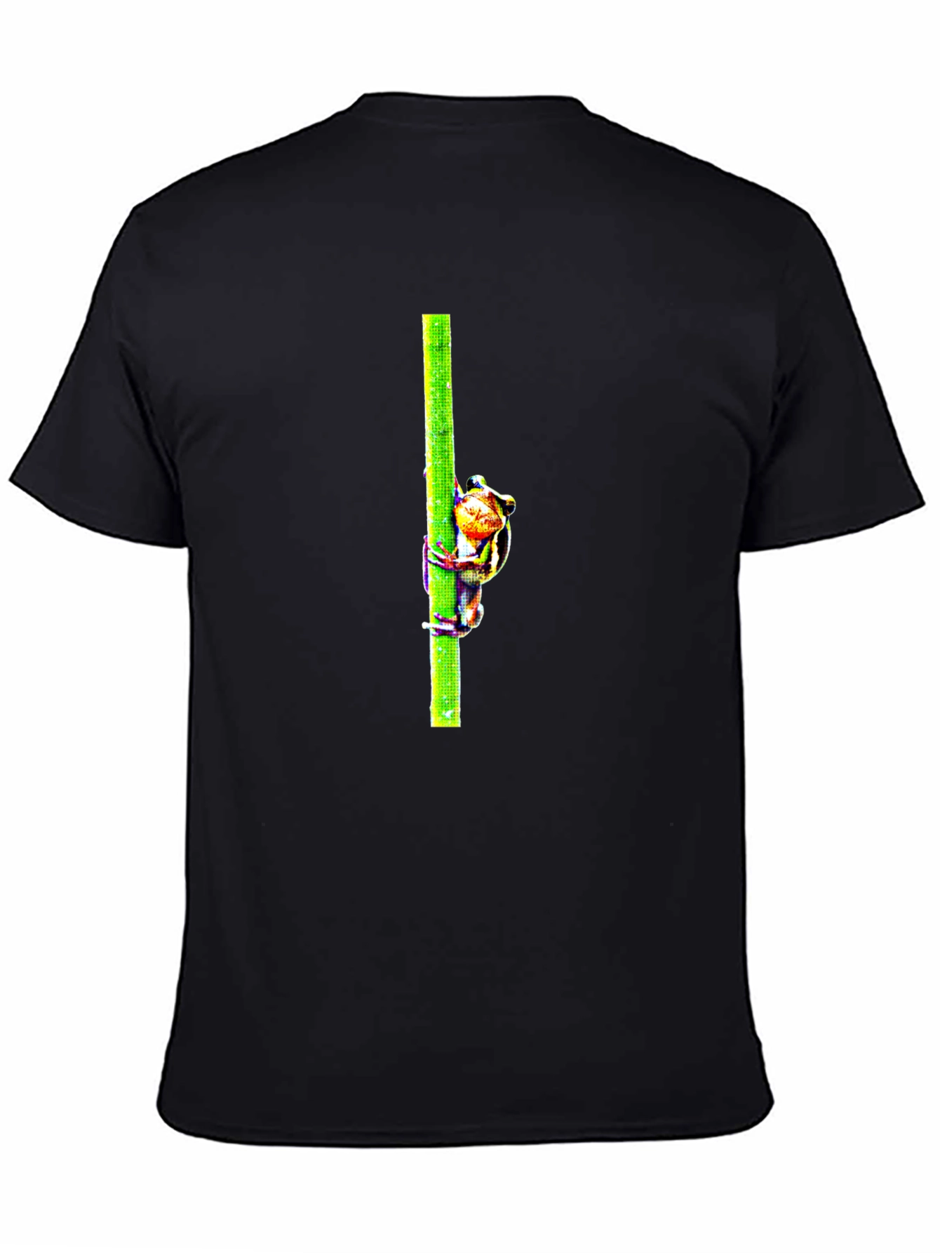 Frog On Bamboo Graphic Tee - Mens Black T-Shirt