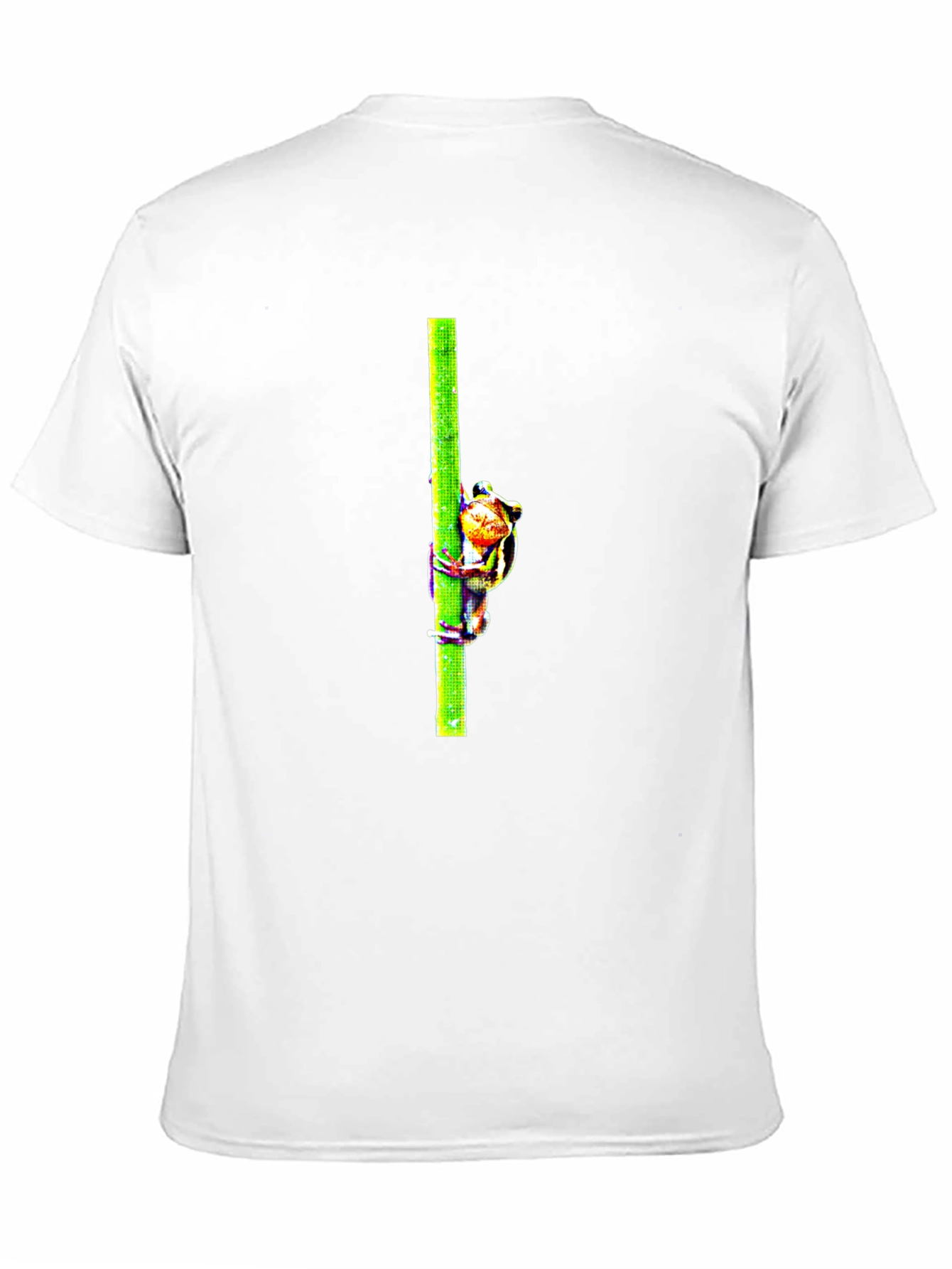 Frog On Bamboo Graphic Tee - Mens Black T-Shirt
