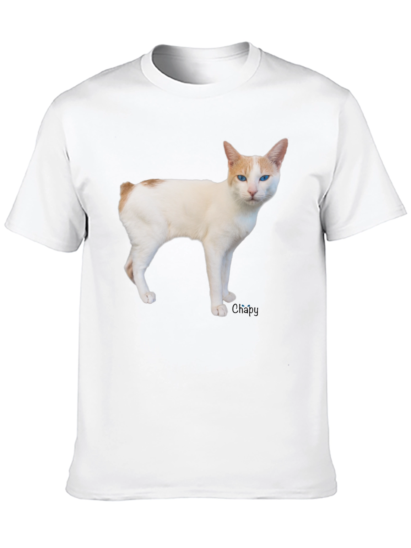Cool Cat T-Shirt - Casual Black Tee