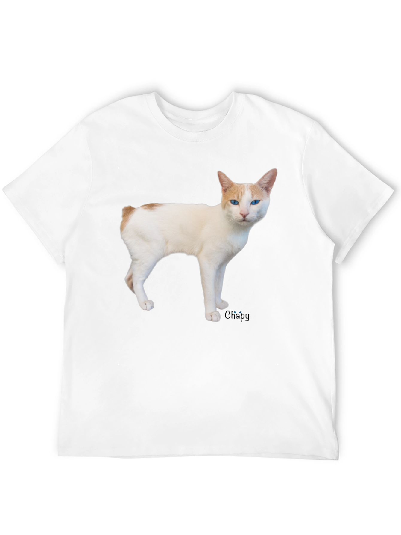 Cool Cat T-Shirt - Casual Black Tee