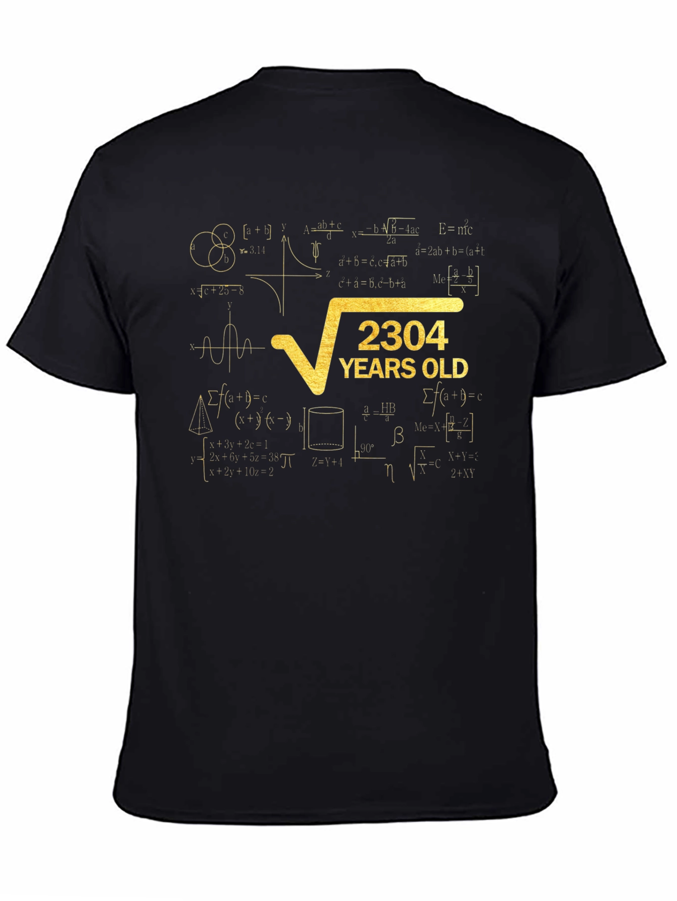 2304 Years Old Math Formula T-Shirt