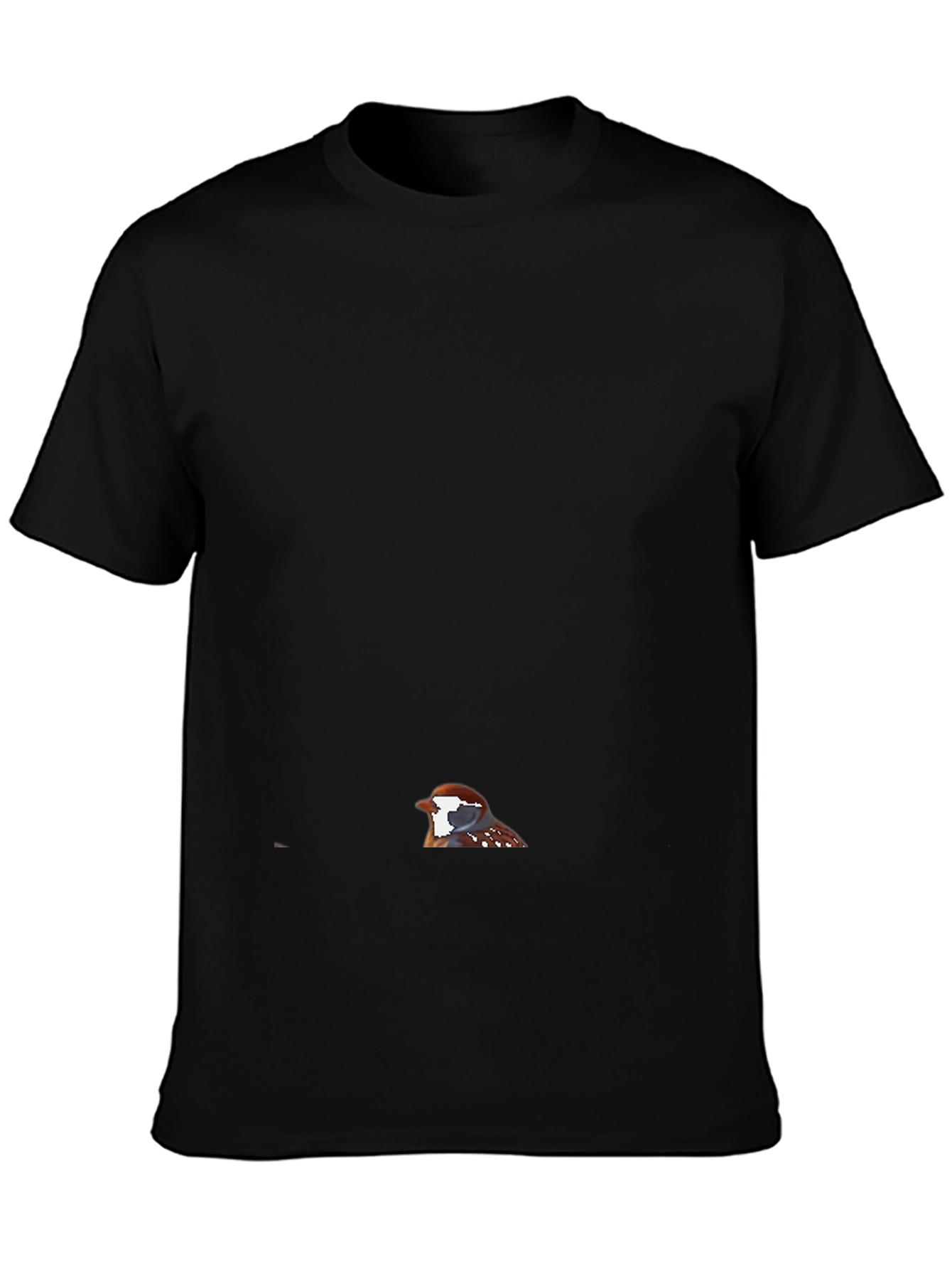 Mens Black Bird Graphic Tee