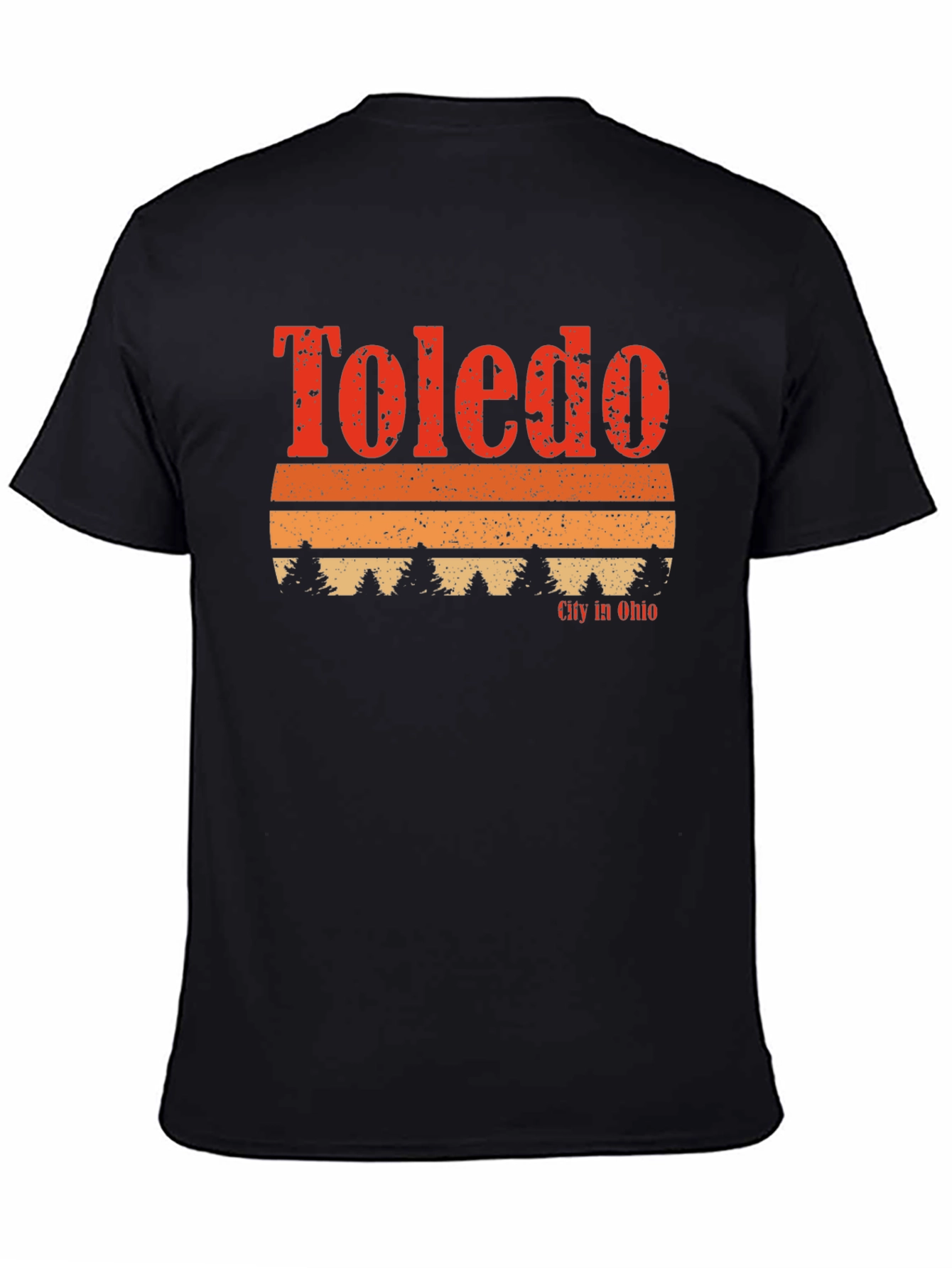 Toledo Ohio Retro Graphic T-Shirt