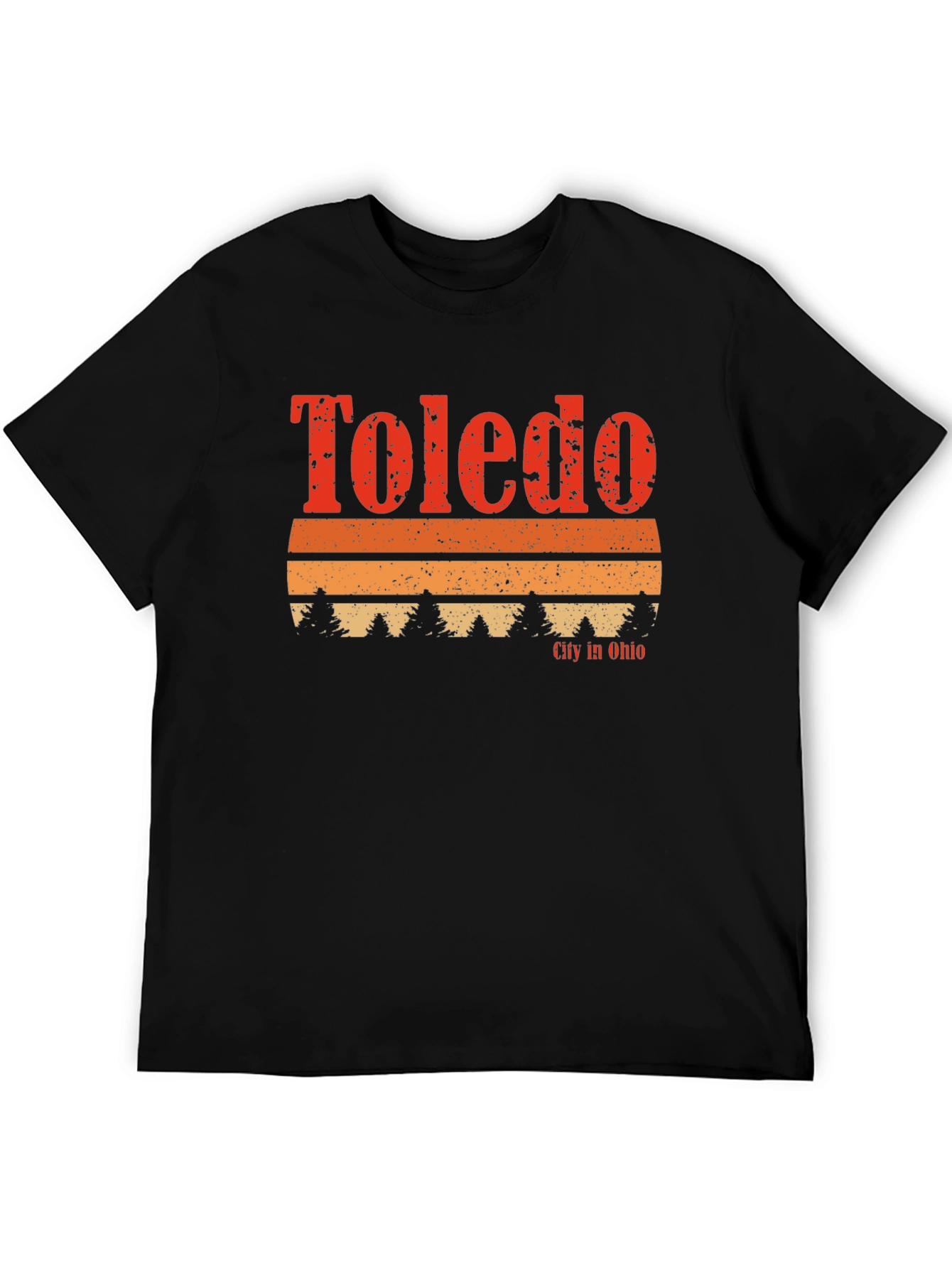 Toledo Ohio Retro Graphic T-Shirt