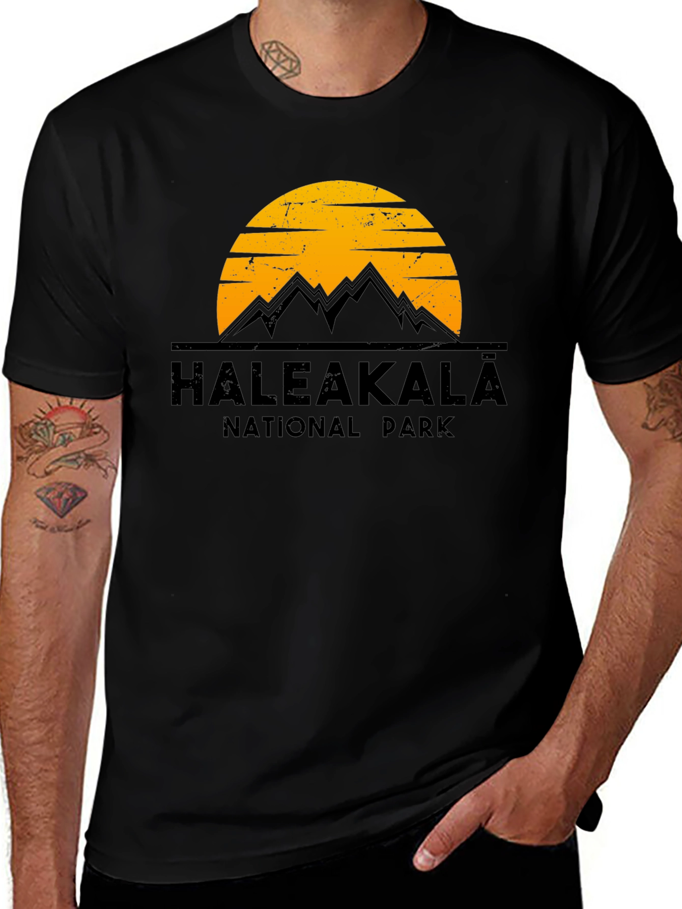 Haleakalā National Park Graphic Tee - Black Cotton T-Shirt