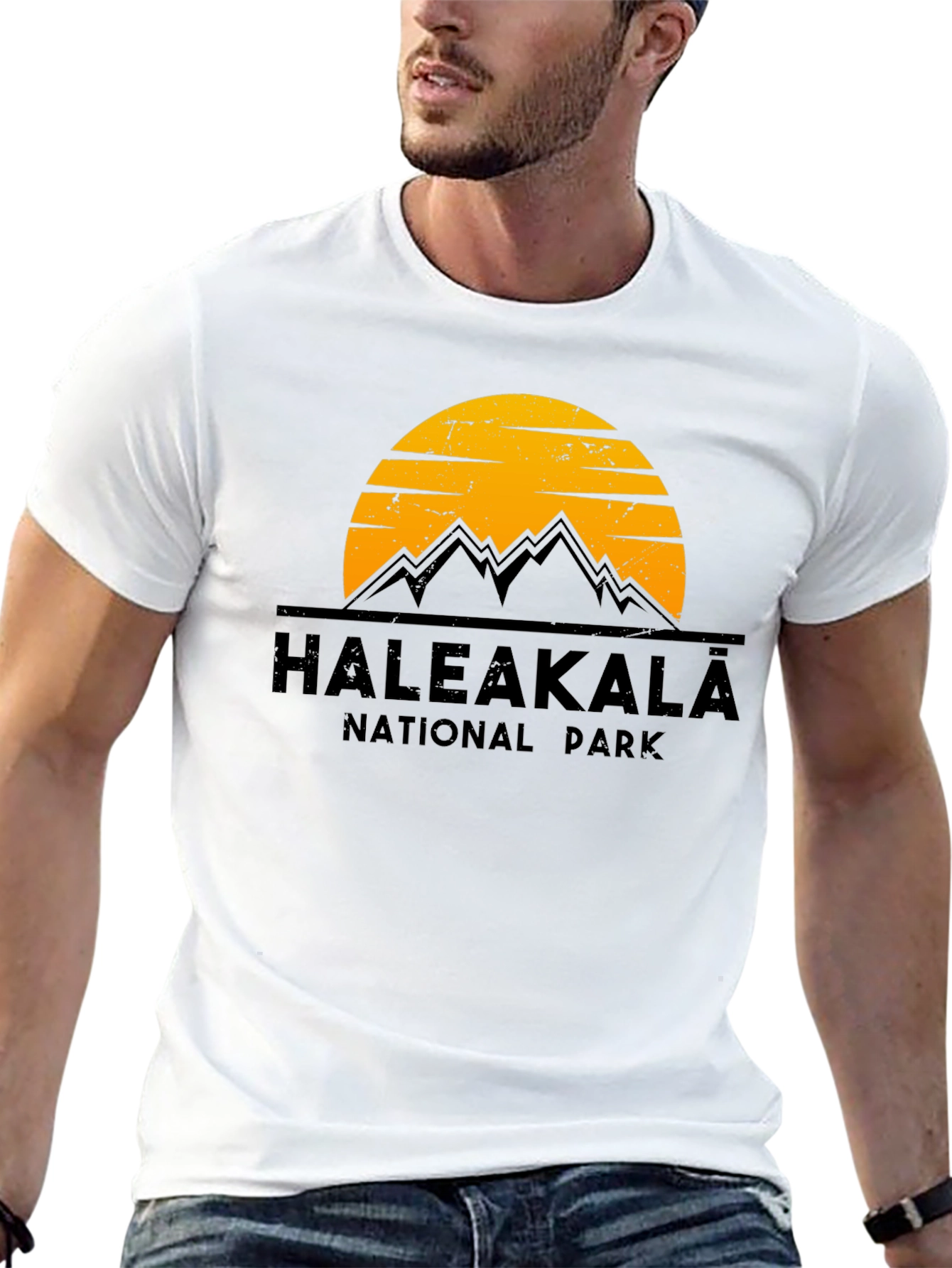 Haleakalā National Park Graphic Tee - Black Cotton T-Shirt