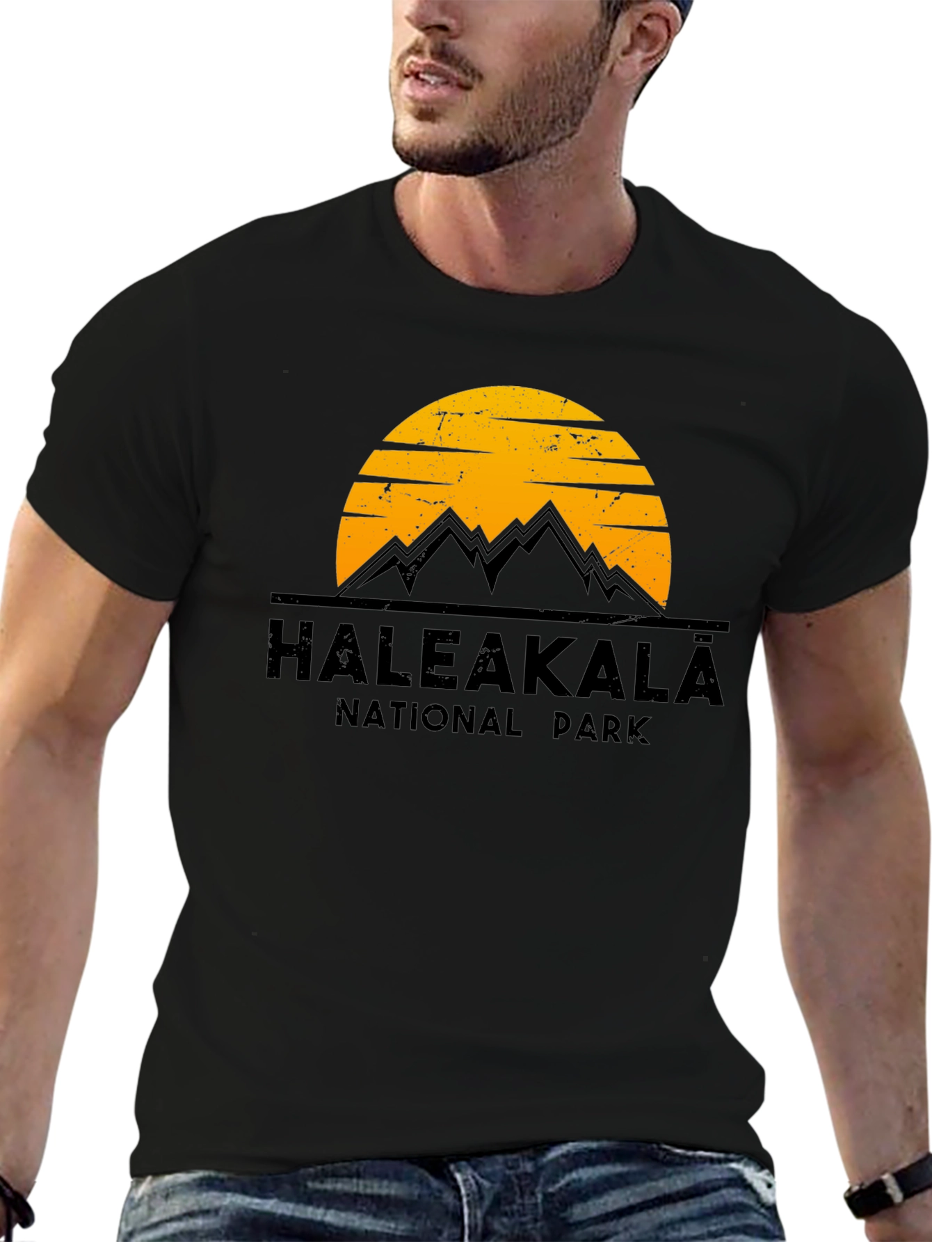 Haleakalā National Park Graphic Tee - Black Cotton T-Shirt