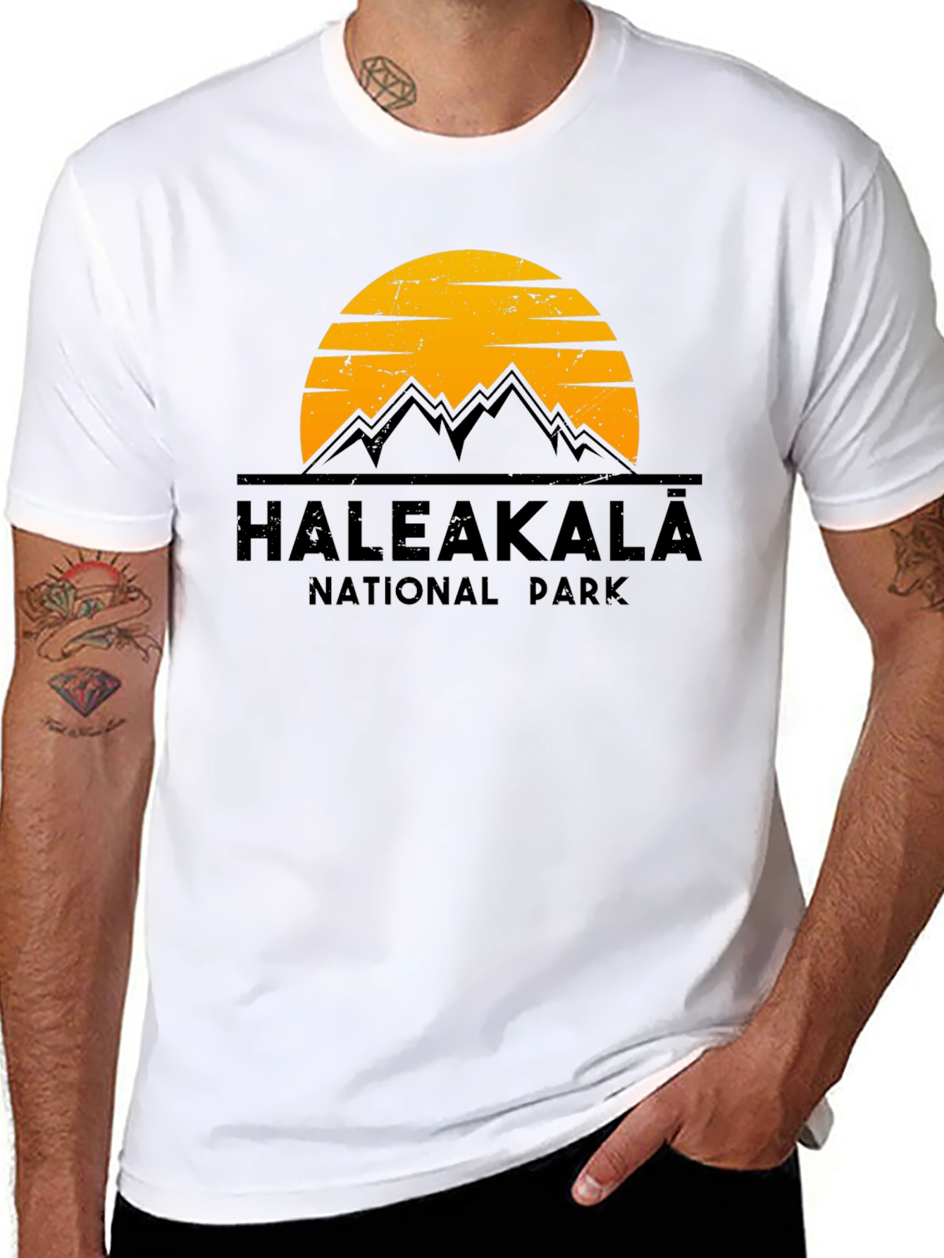 Haleakalā National Park Graphic Tee - Black Cotton T-Shirt