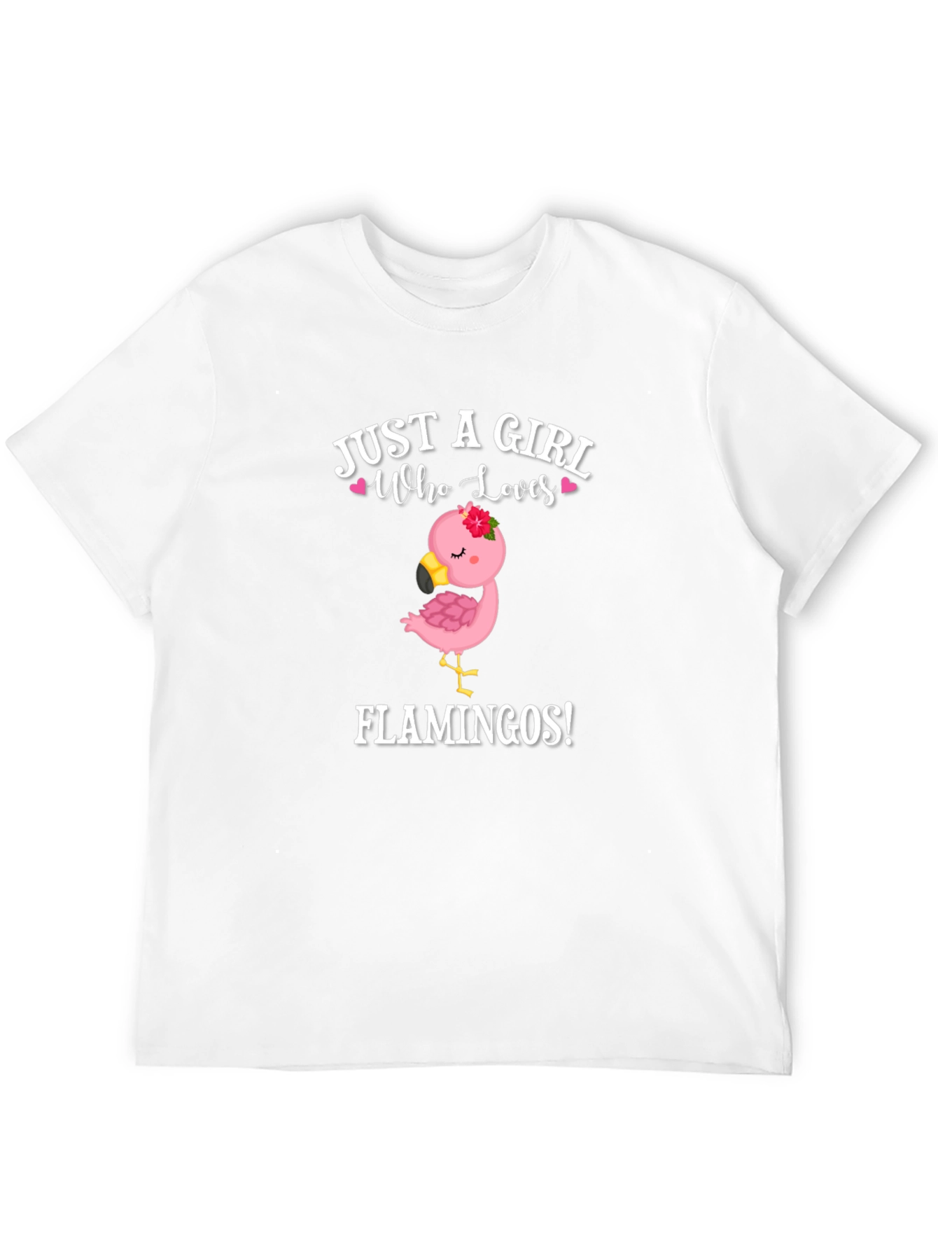 Girl Who Loves Flamingos T-Shirt