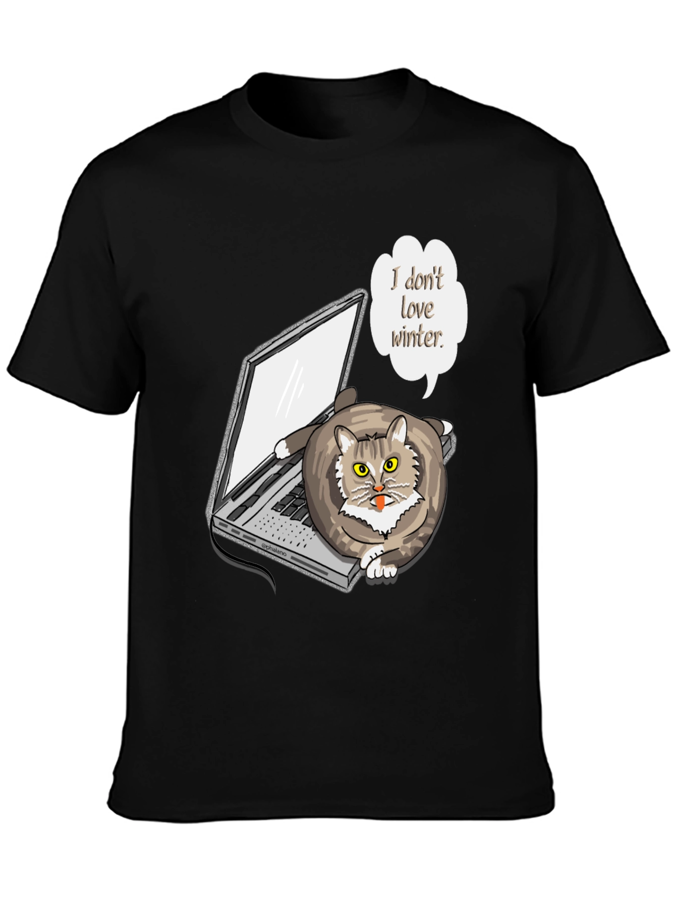 Funny I Dont Love Winter Cat T-Shirt