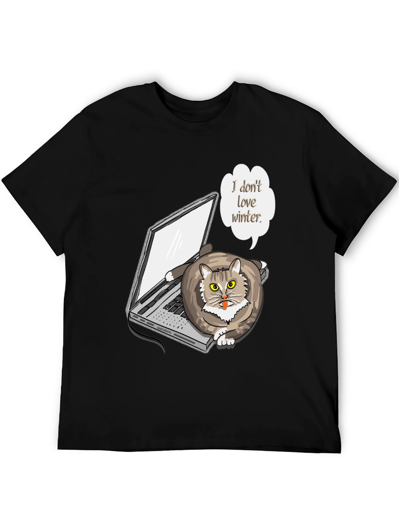 Funny I Dont Love Winter Cat T-Shirt