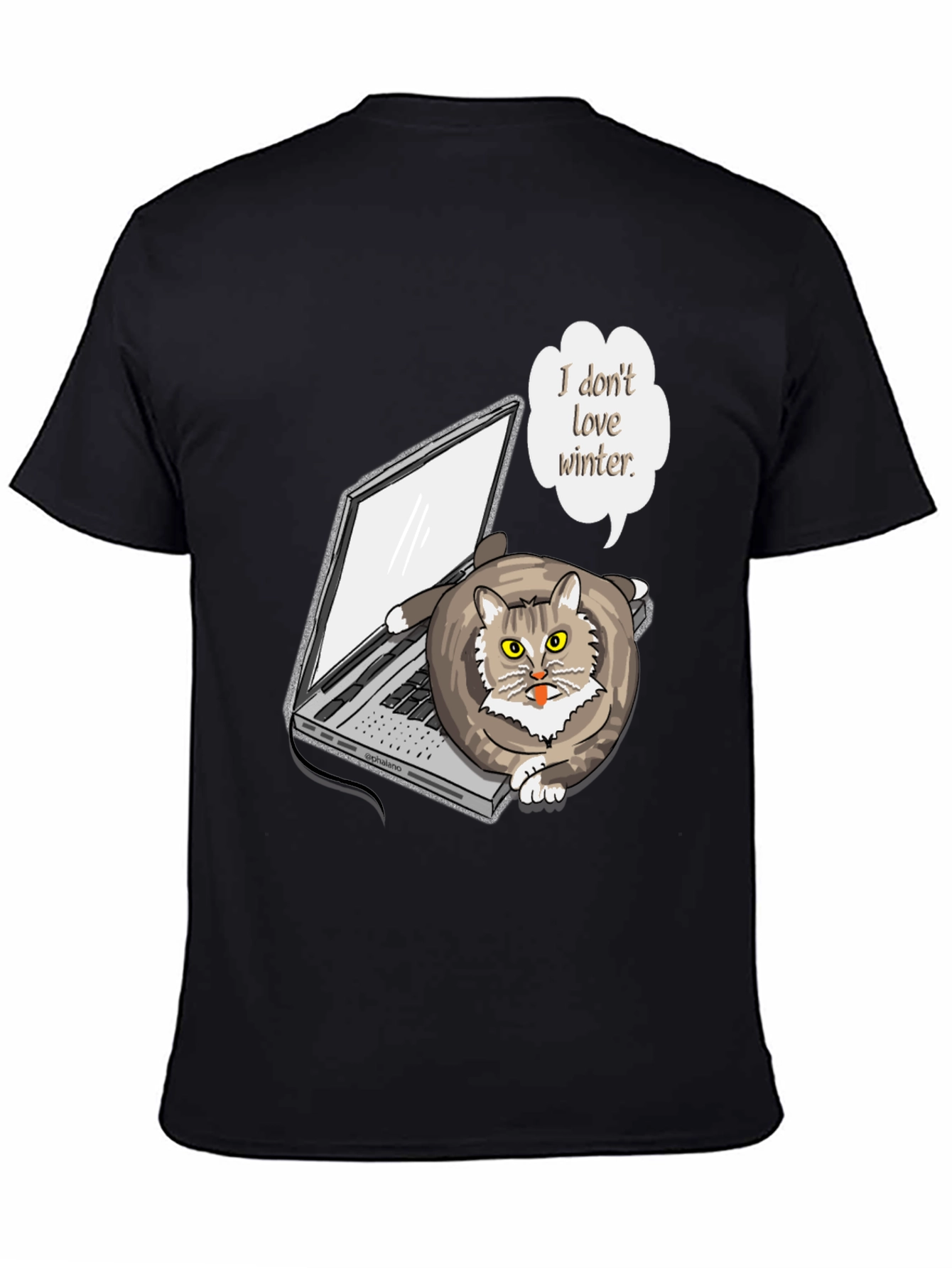 Funny I Dont Love Winter Cat T-Shirt