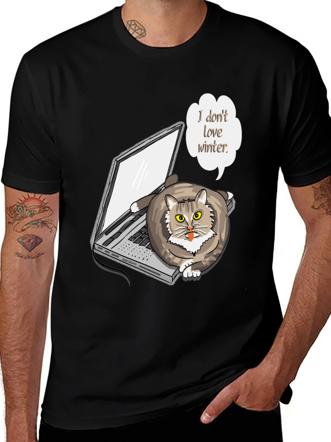Funny I Dont Love Winter Cat T-Shirt