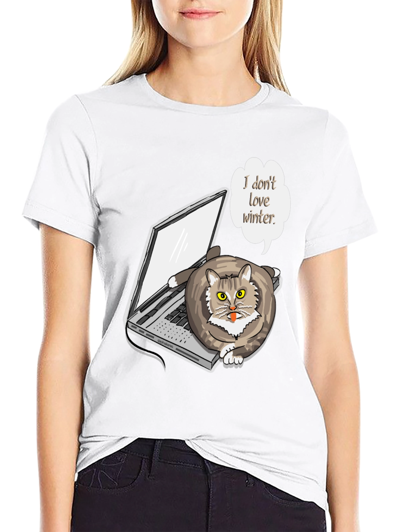 Funny I Dont Love Winter Cat T-Shirt
