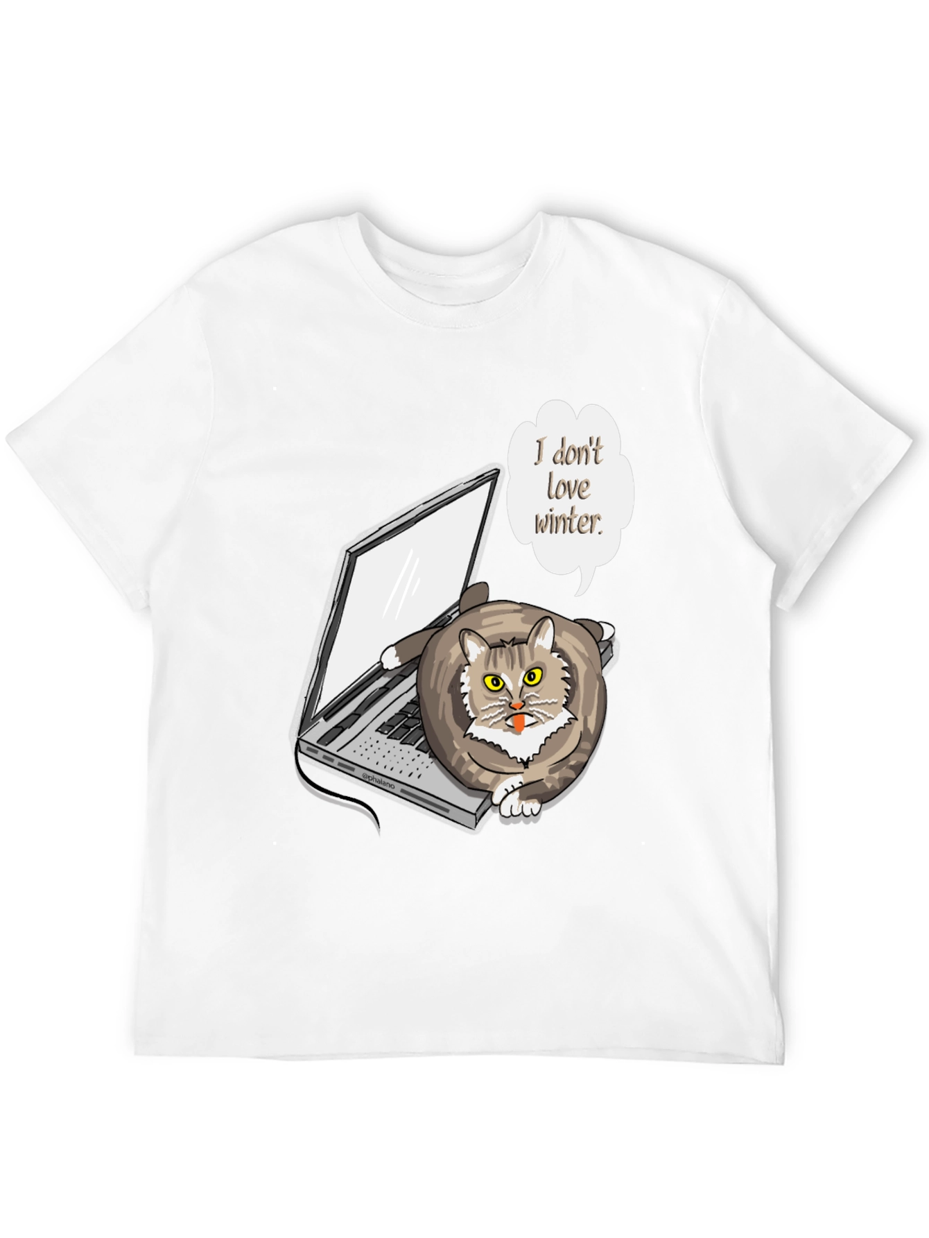 Funny I Dont Love Winter Cat T-Shirt