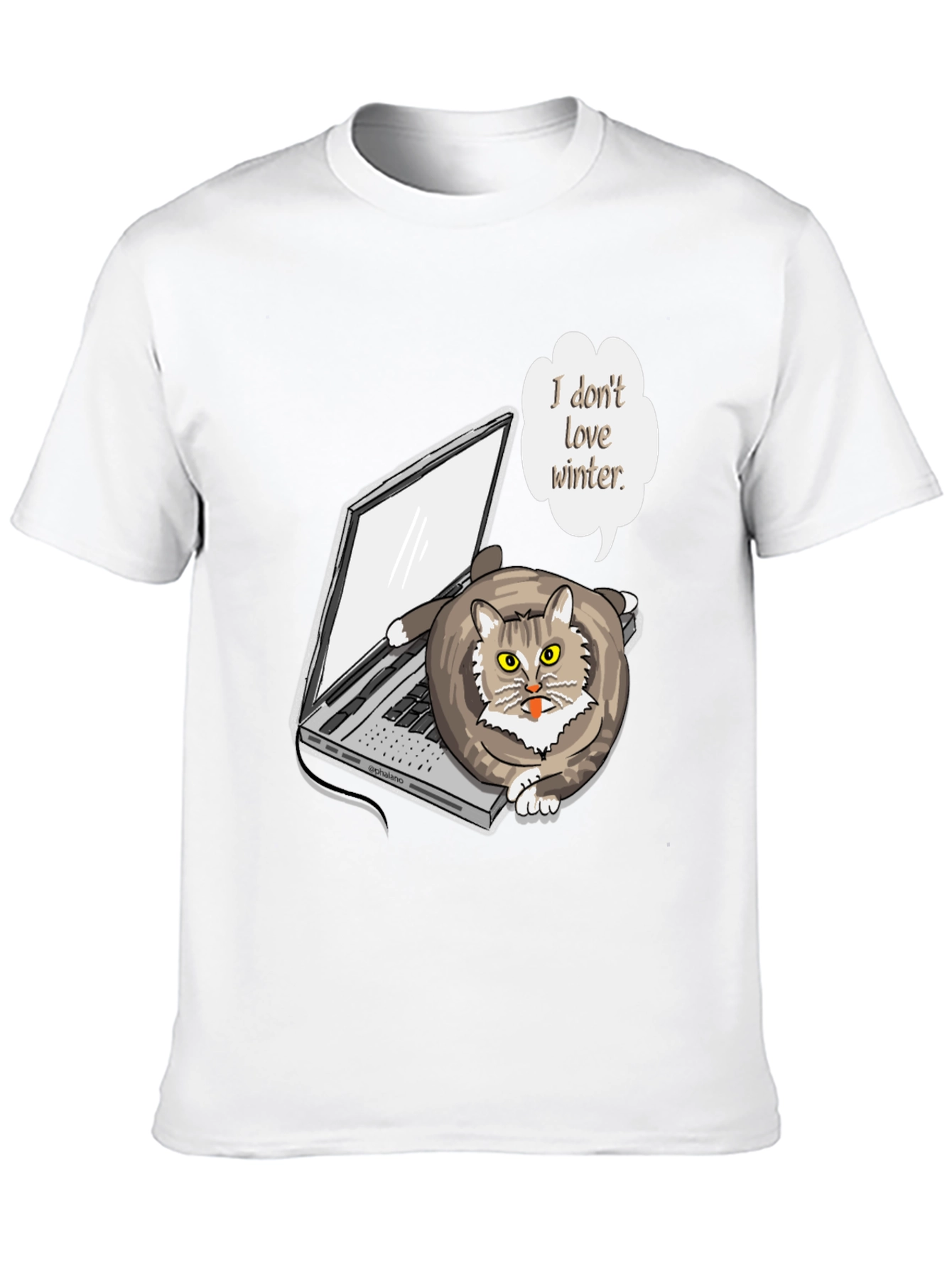 Funny I Dont Love Winter Cat T-Shirt