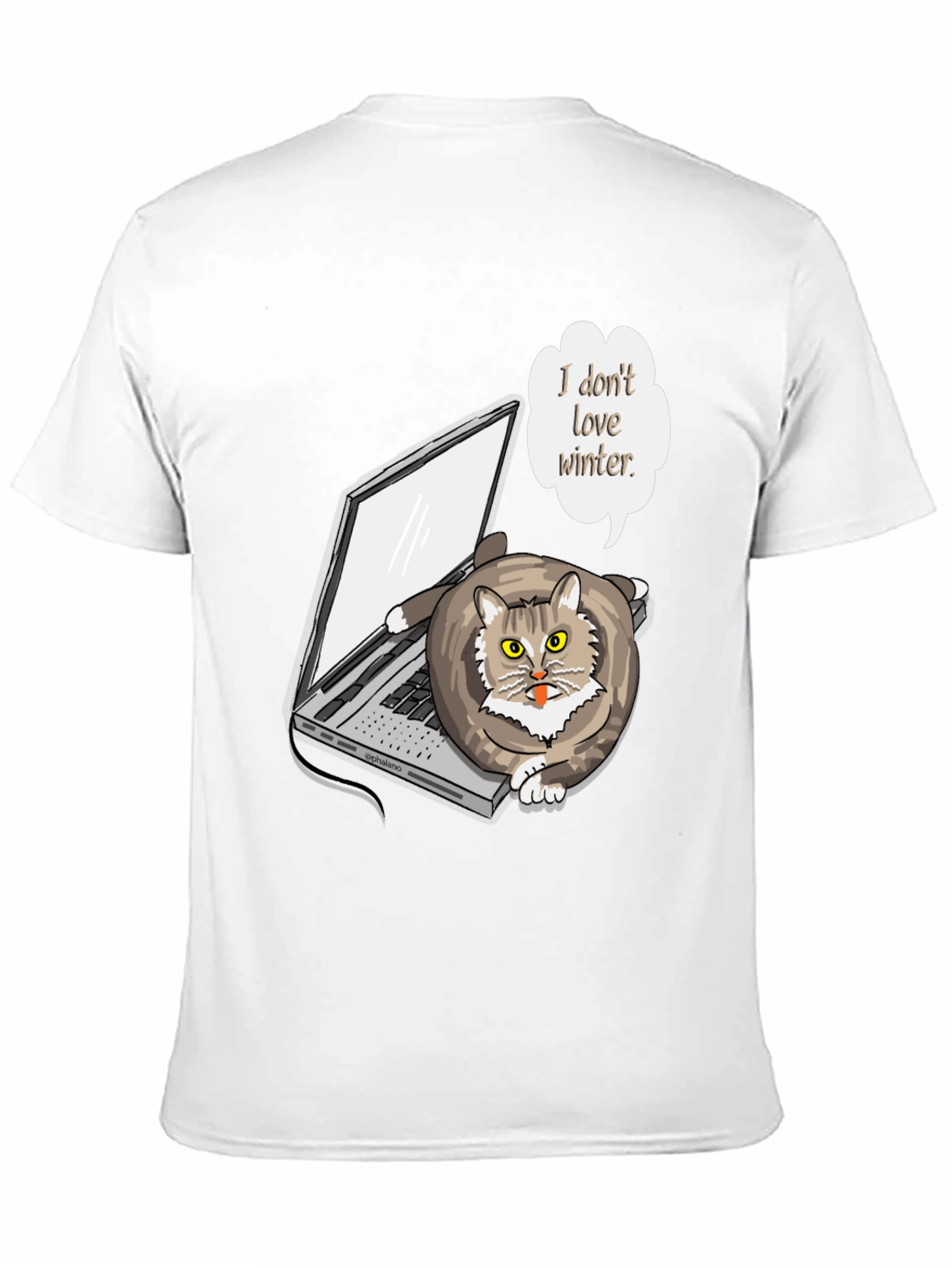 Funny I Dont Love Winter Cat T-Shirt