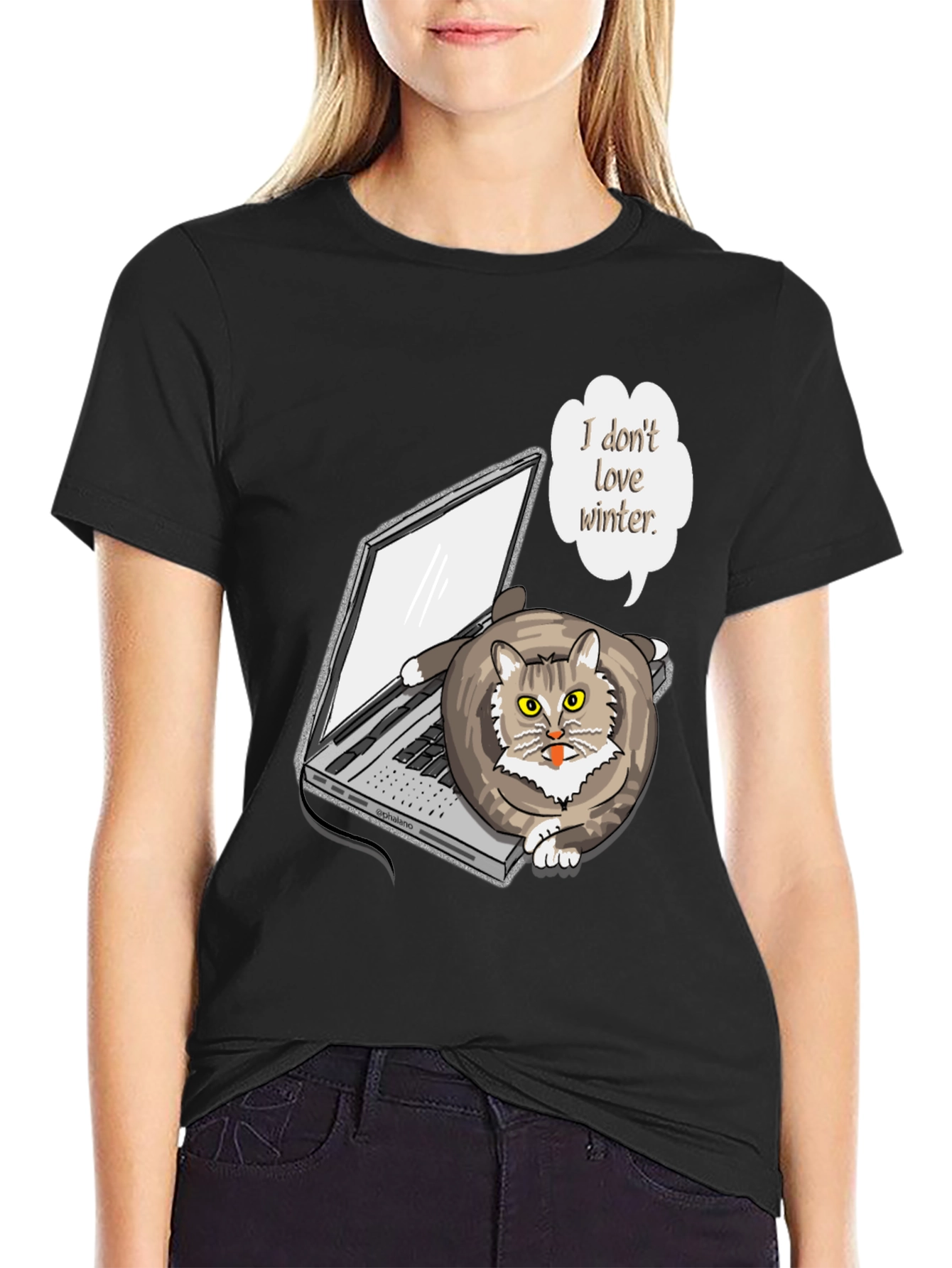 Funny I Dont Love Winter Cat T-Shirt