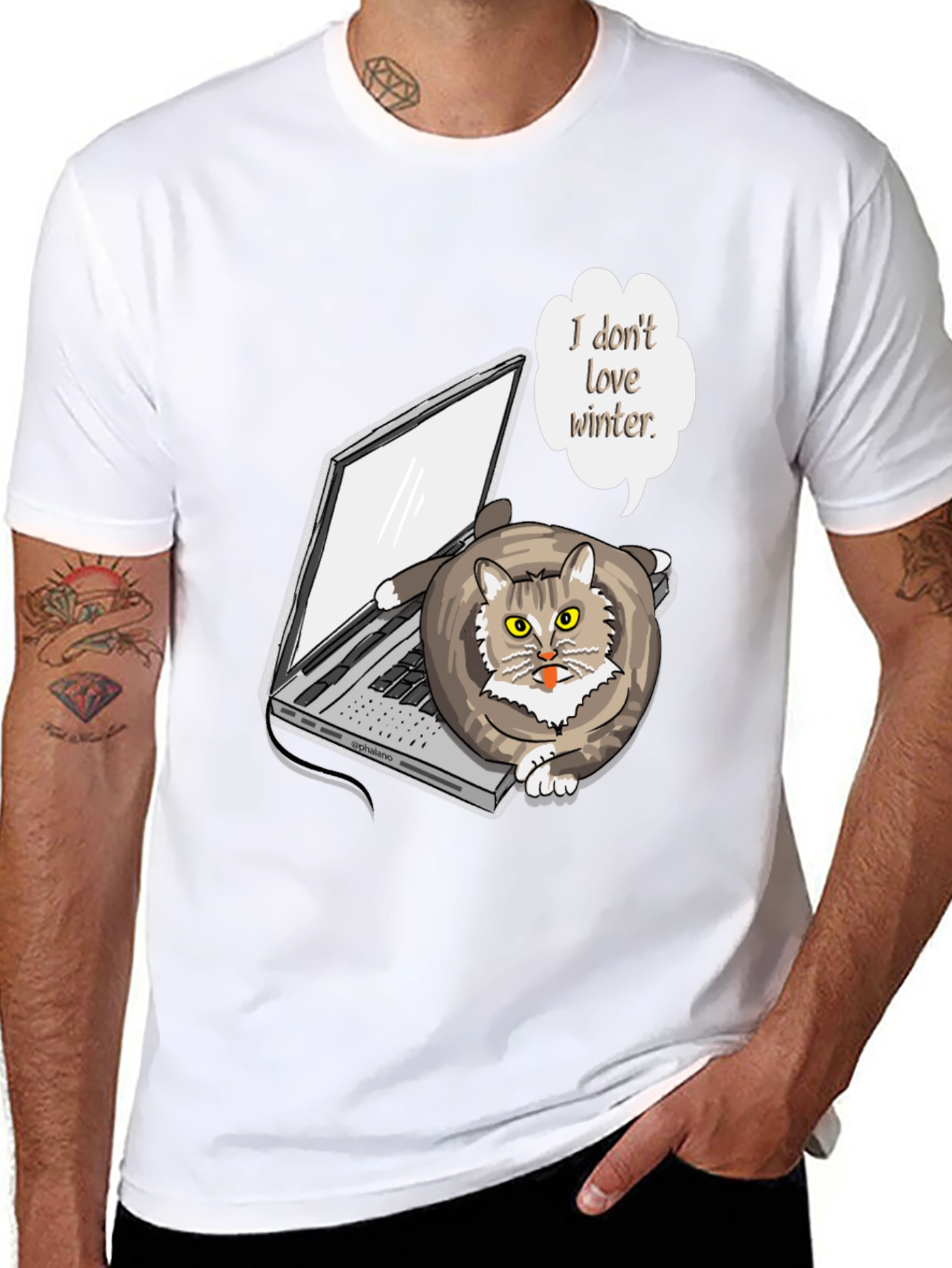 Funny I Dont Love Winter Cat T-Shirt