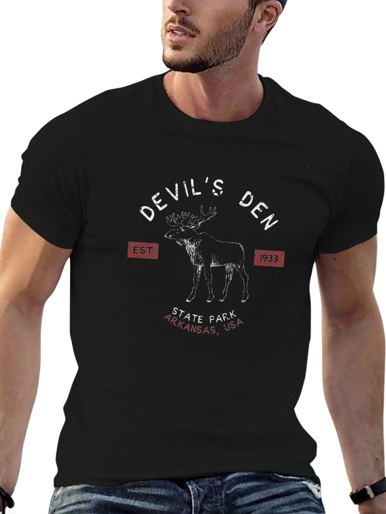 Devils Den State Park T-Shirt