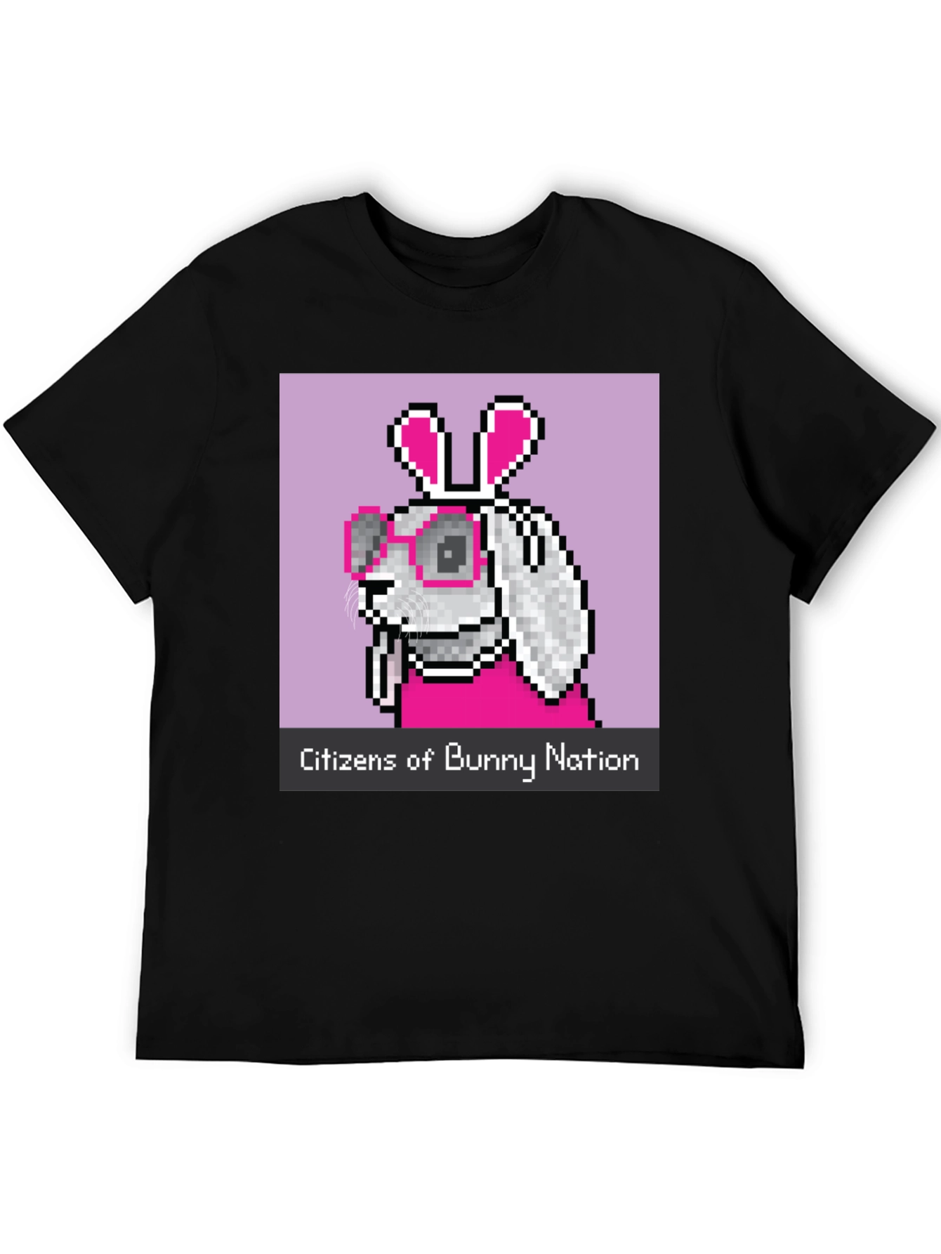 Citizens of Bunny Nation Pixel Art T-Shirt