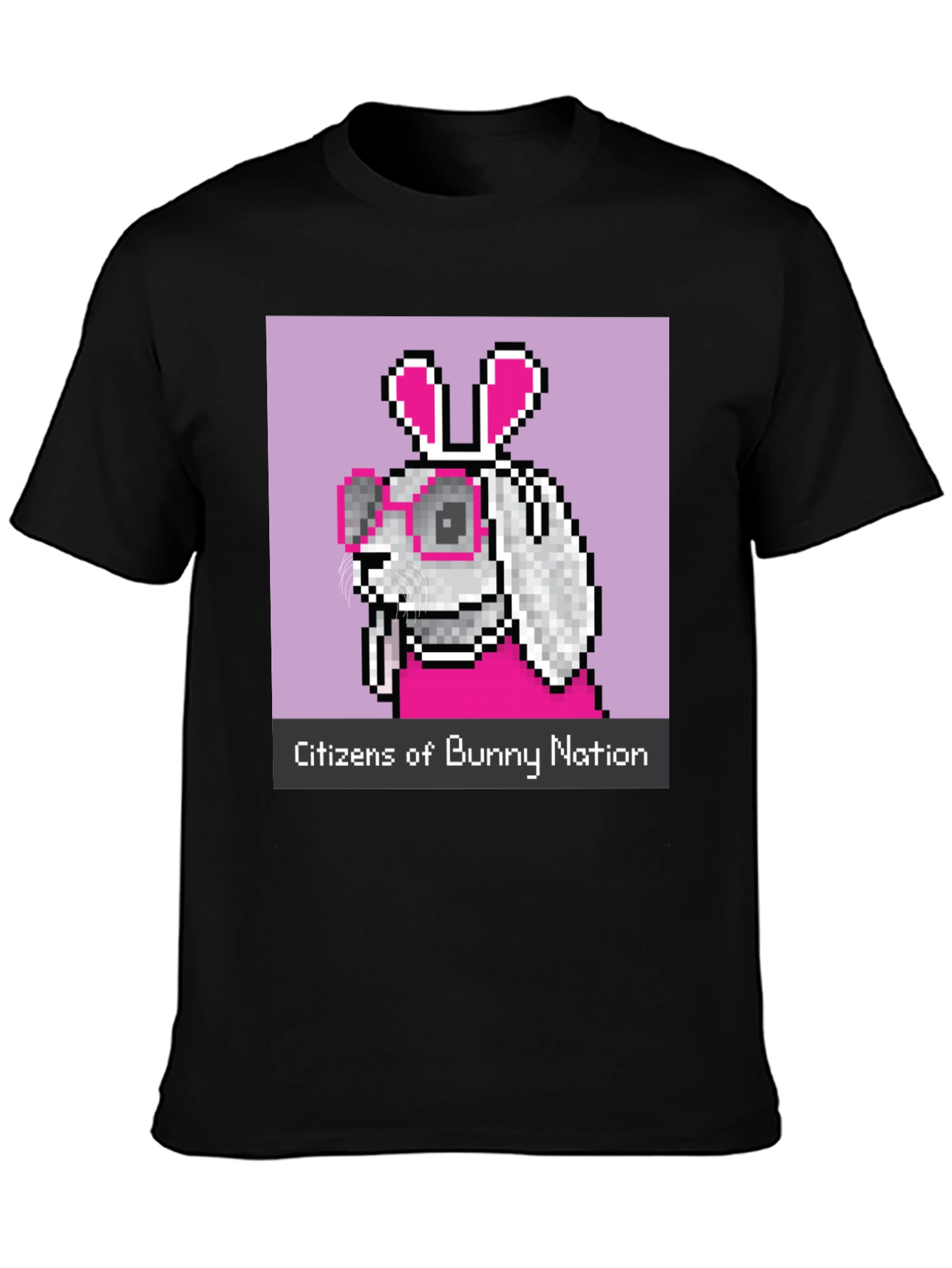 Citizens of Bunny Nation Pixel Art T-Shirt