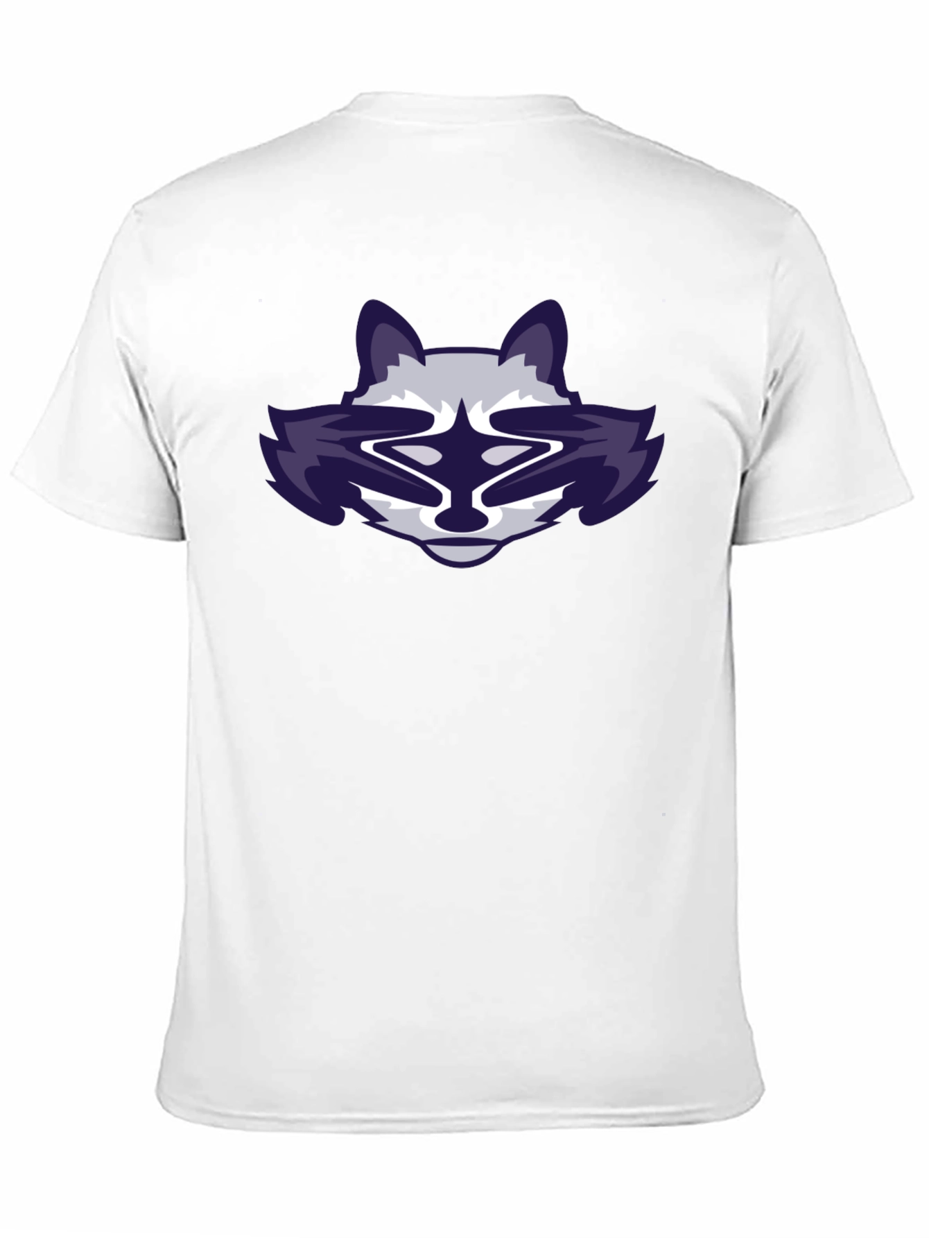 Cool Raccoon Graphic Black T-Shirt