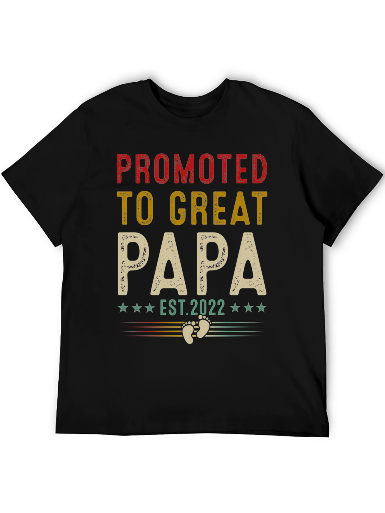 Promoted to Great Papa Est. 2022 T-Shirt