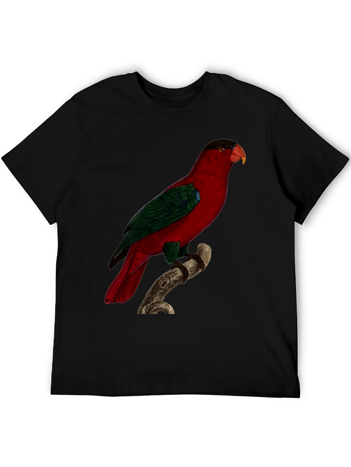 Red Parrot Graphic Tee - Nature Inspired Bird Print