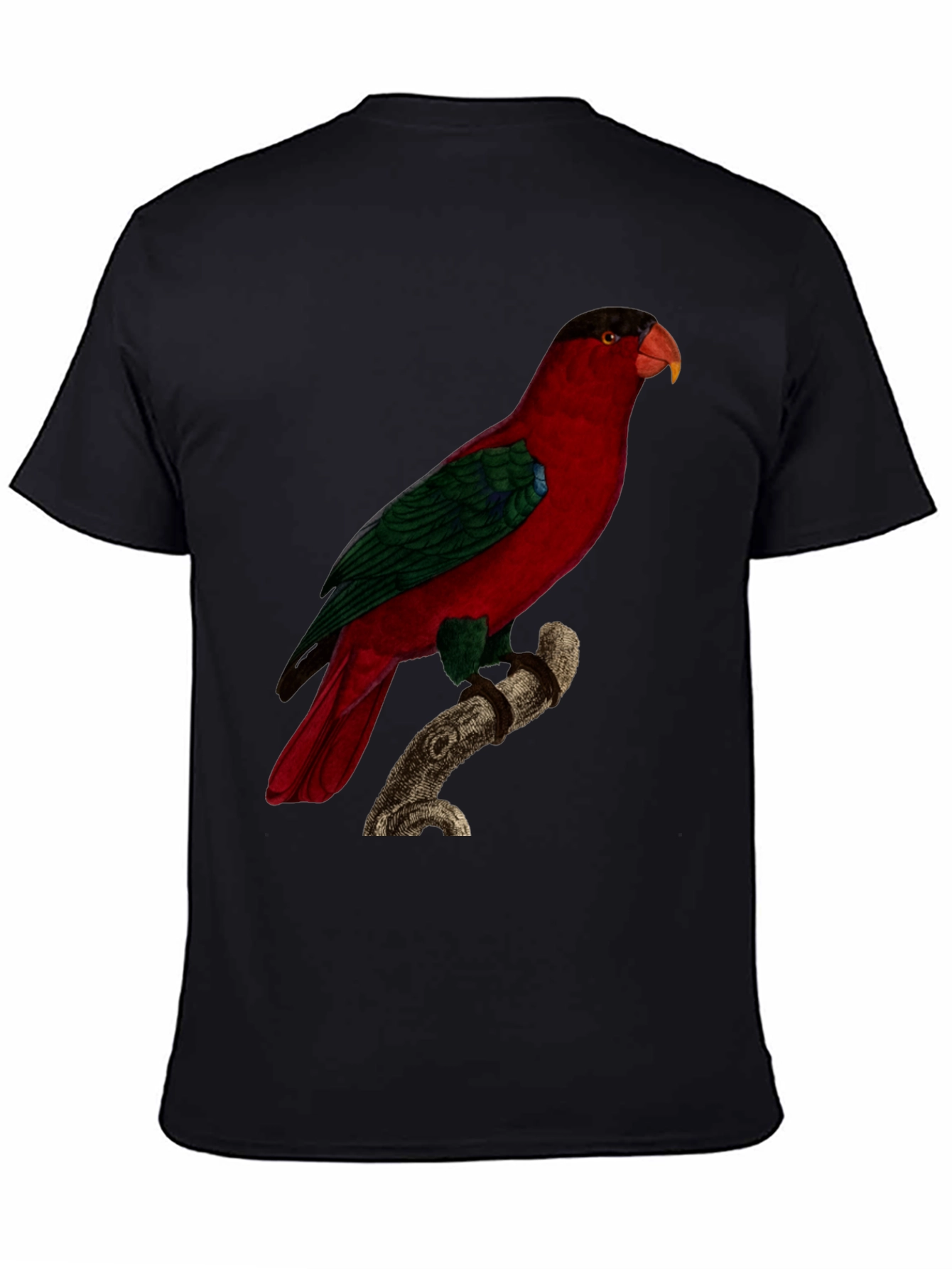 Red Parrot Graphic Tee - Nature Inspired Bird Print