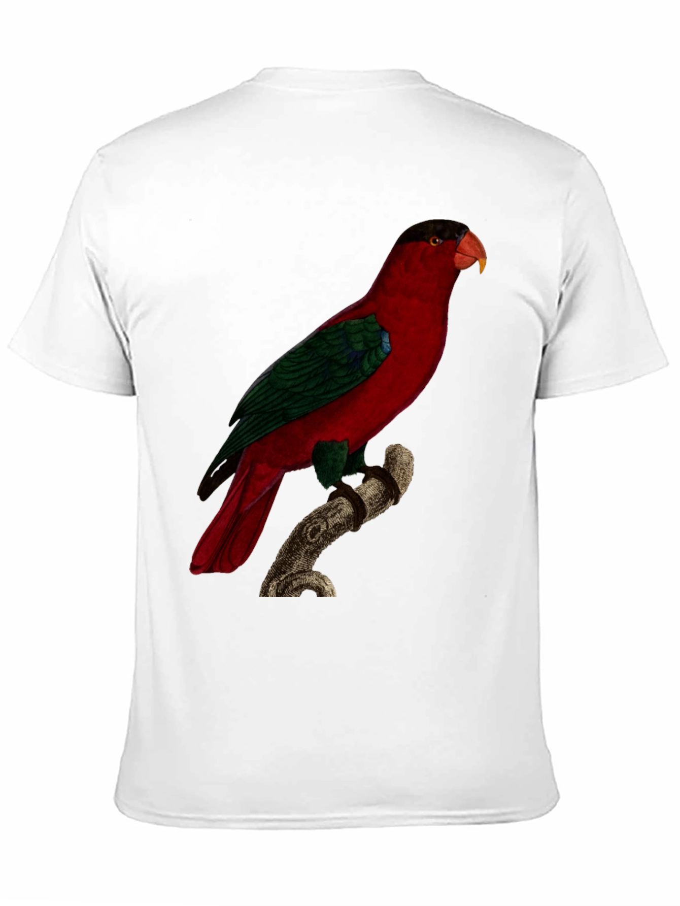 Red Parrot Graphic Tee - Nature Inspired Bird Print