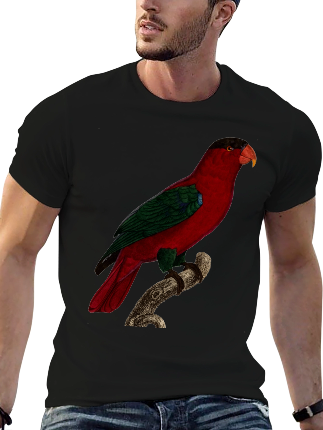 Red Parrot Graphic Tee - Nature Inspired Bird Print