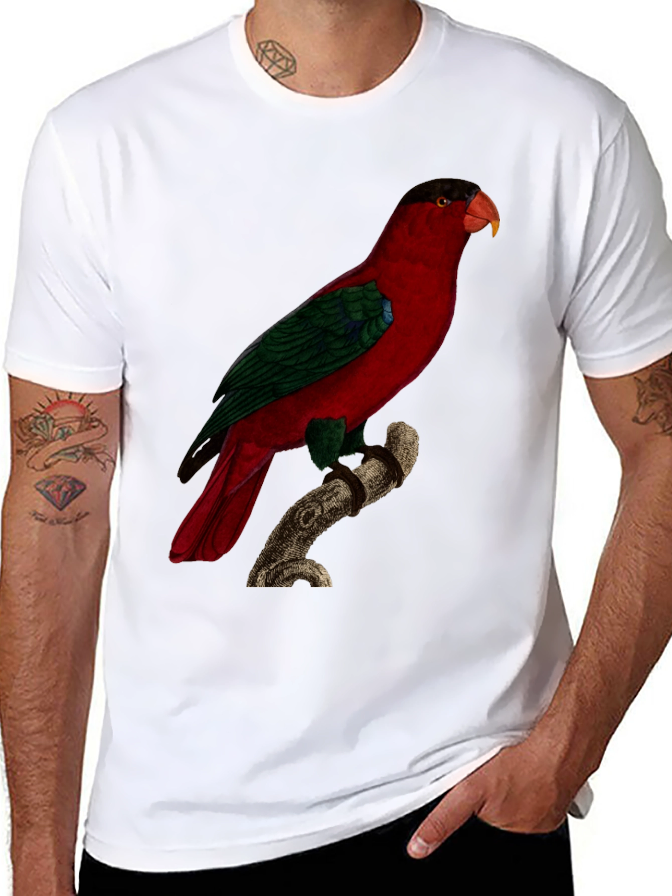 Red Parrot Graphic Tee - Nature Inspired Bird Print