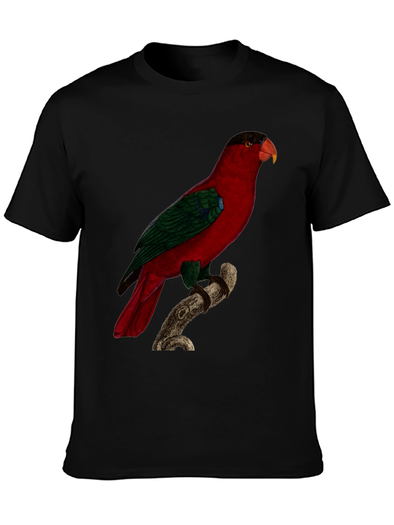 Red Parrot Graphic Tee - Nature Inspired Bird Print