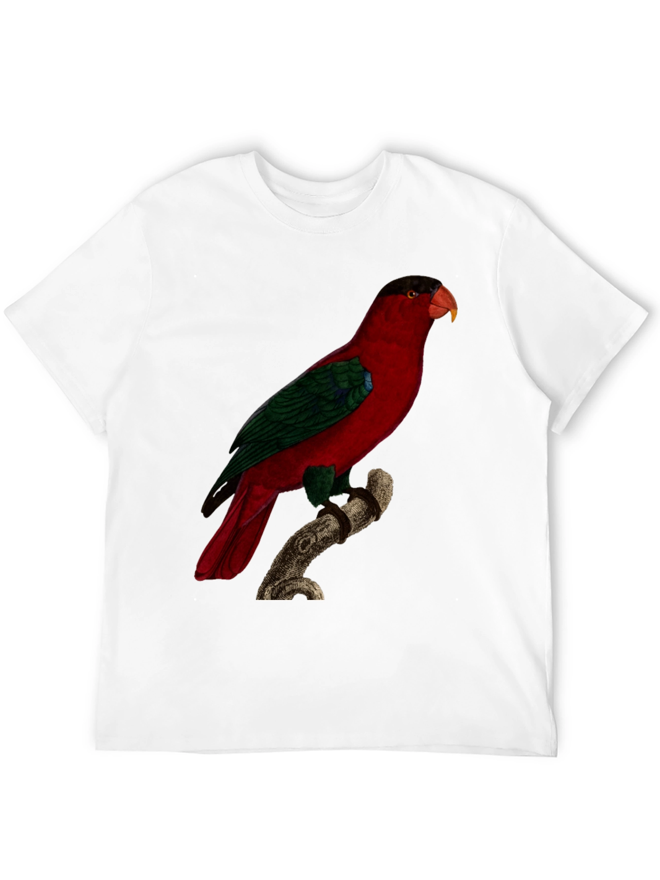 Red Parrot Graphic Tee - Nature Inspired Bird Print