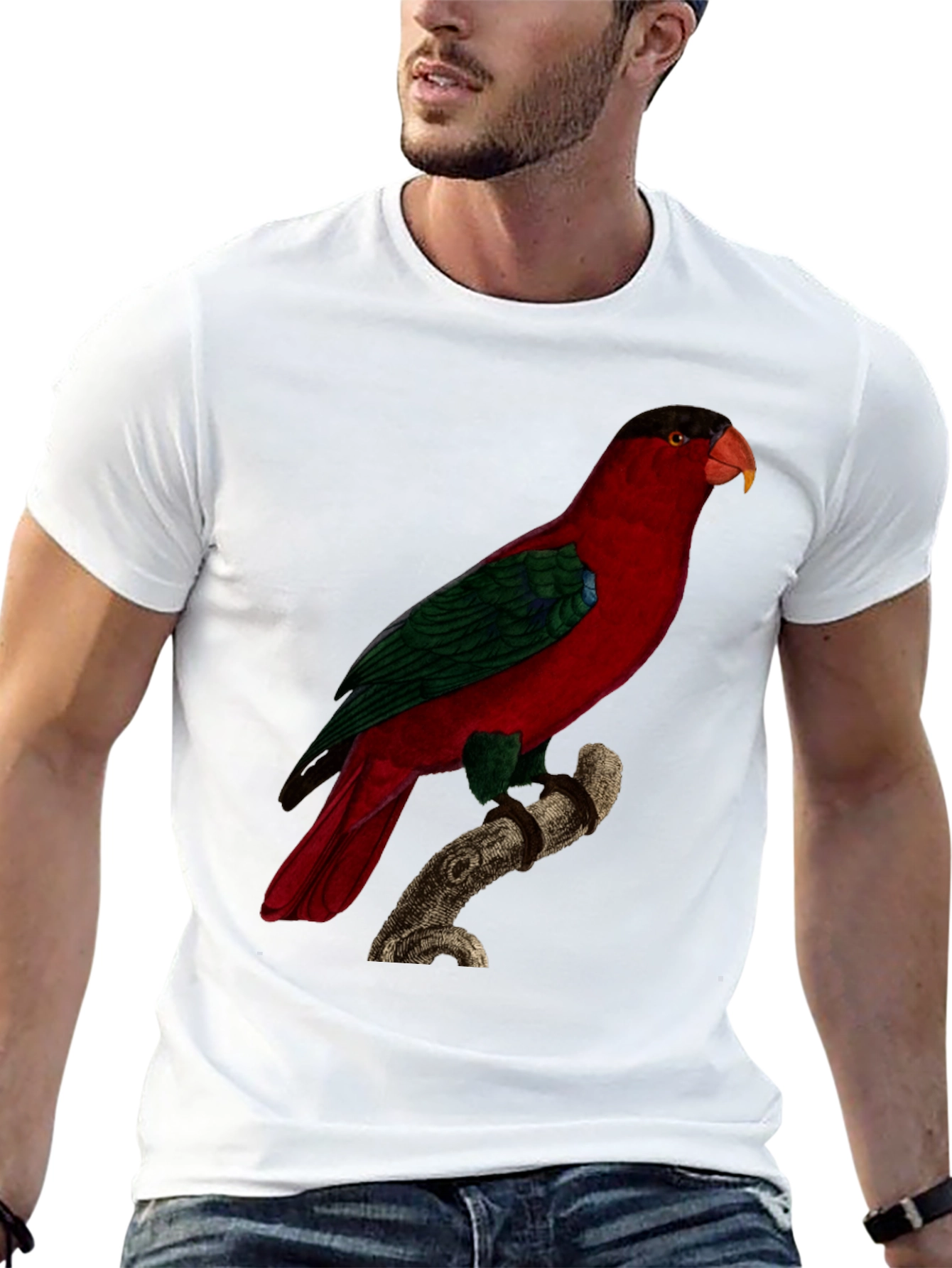 Red Parrot Graphic Tee - Nature Inspired Bird Print