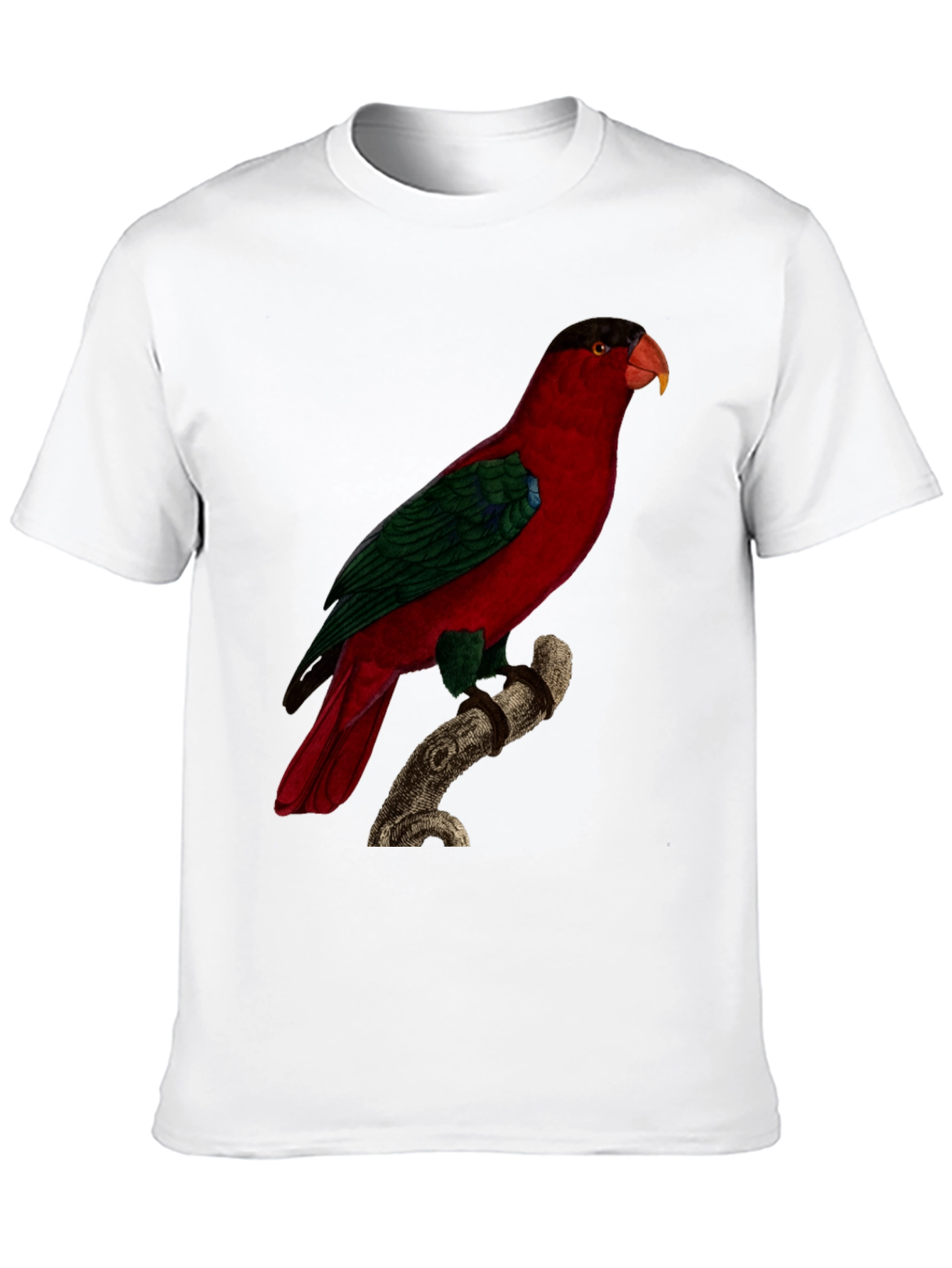Red Parrot Graphic Tee - Nature Inspired Bird Print