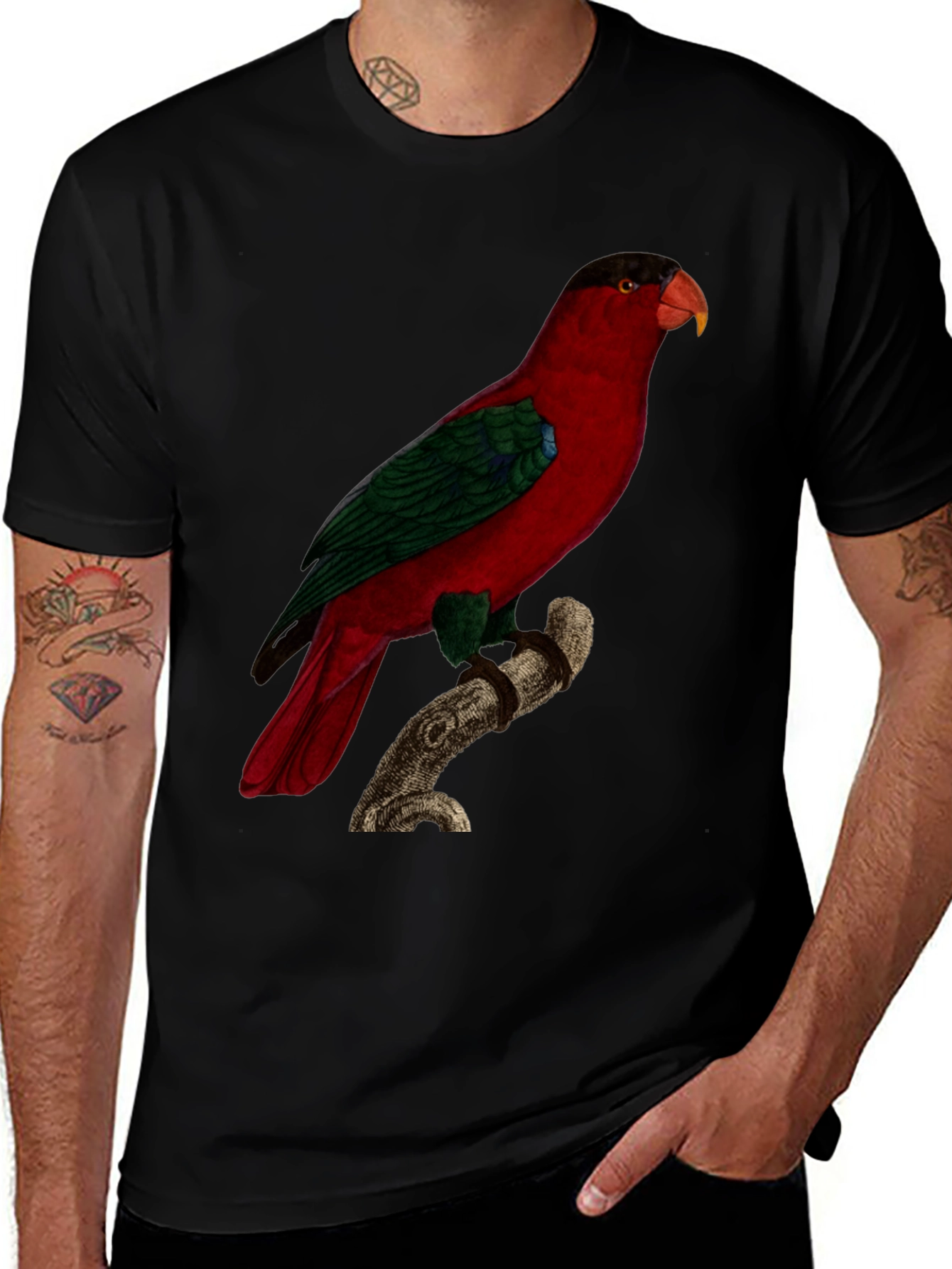 Red Parrot Graphic Tee - Nature Inspired Bird Print